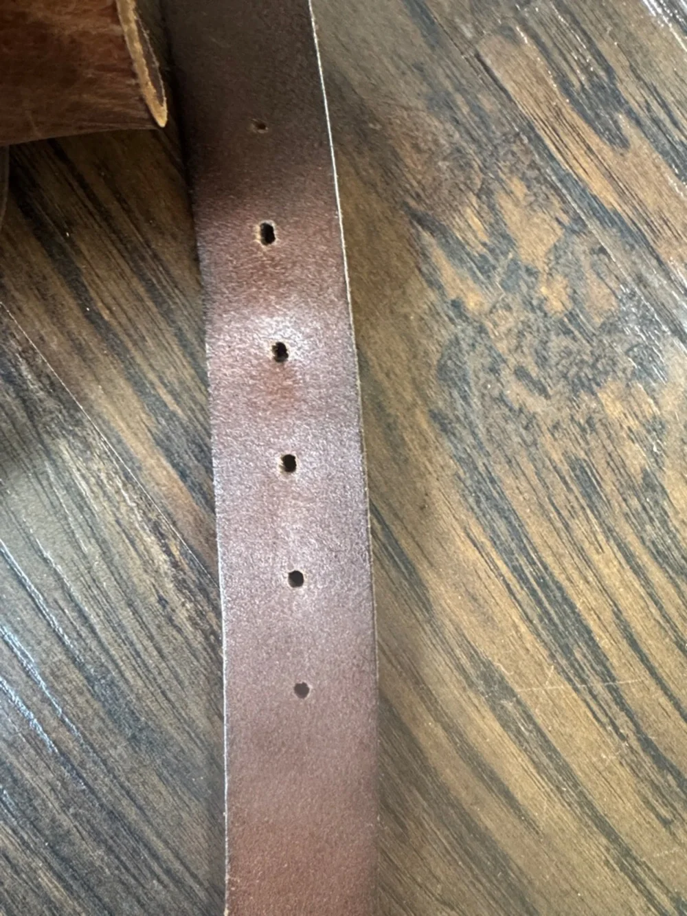 Columbia Brown Leather Men's Belt with Silver Buckle